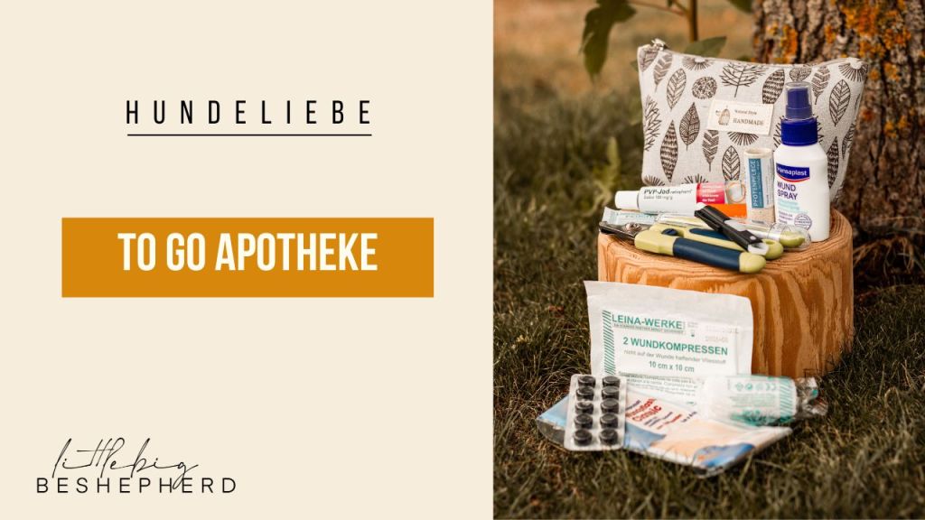 To-Go Apotheke