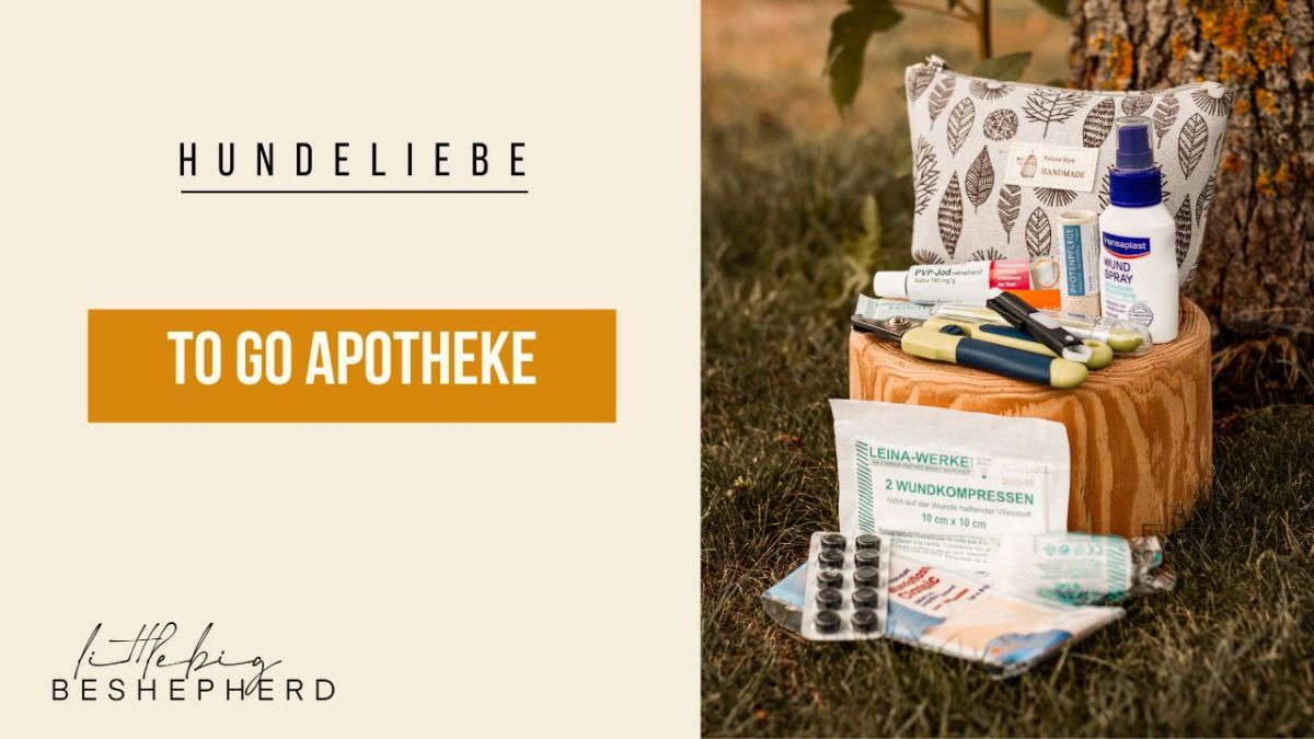 To-Go Apotheke