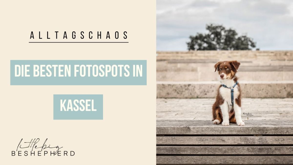 Die besten Fotografiespots in Kassel (Mitte und&nbsp;Süd)