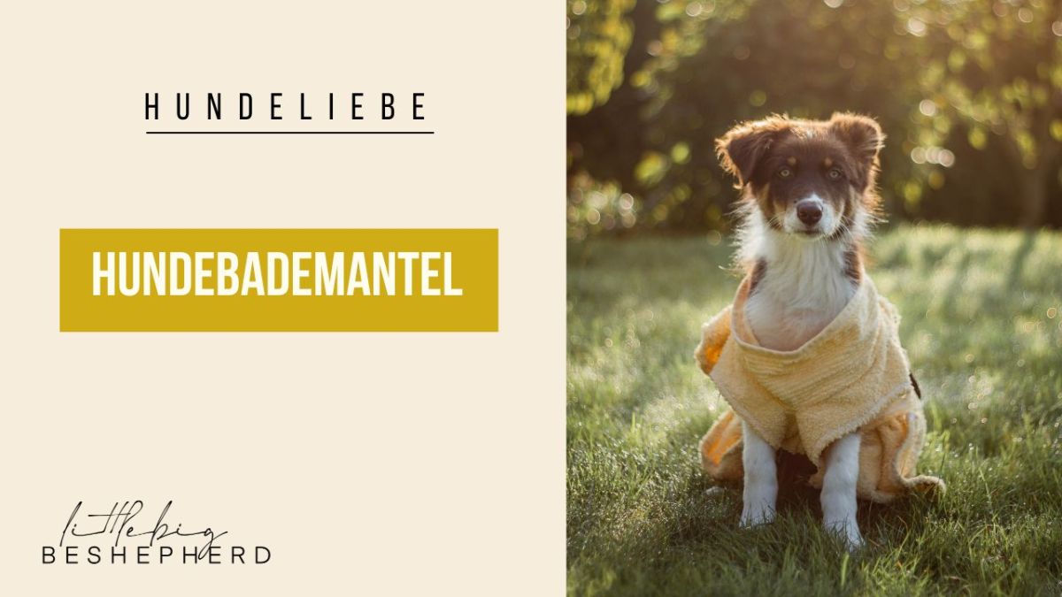 DIY Hundebademantel