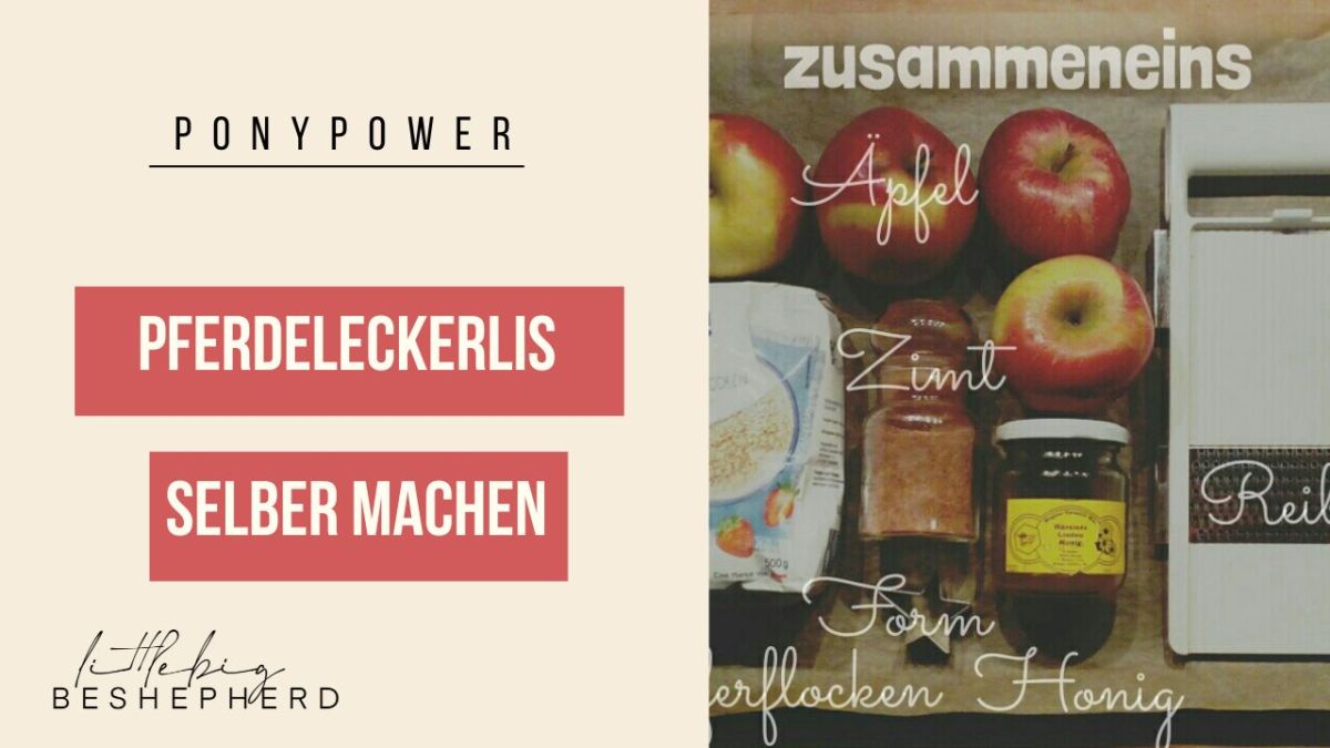 Pferdeleckerlies selber machen